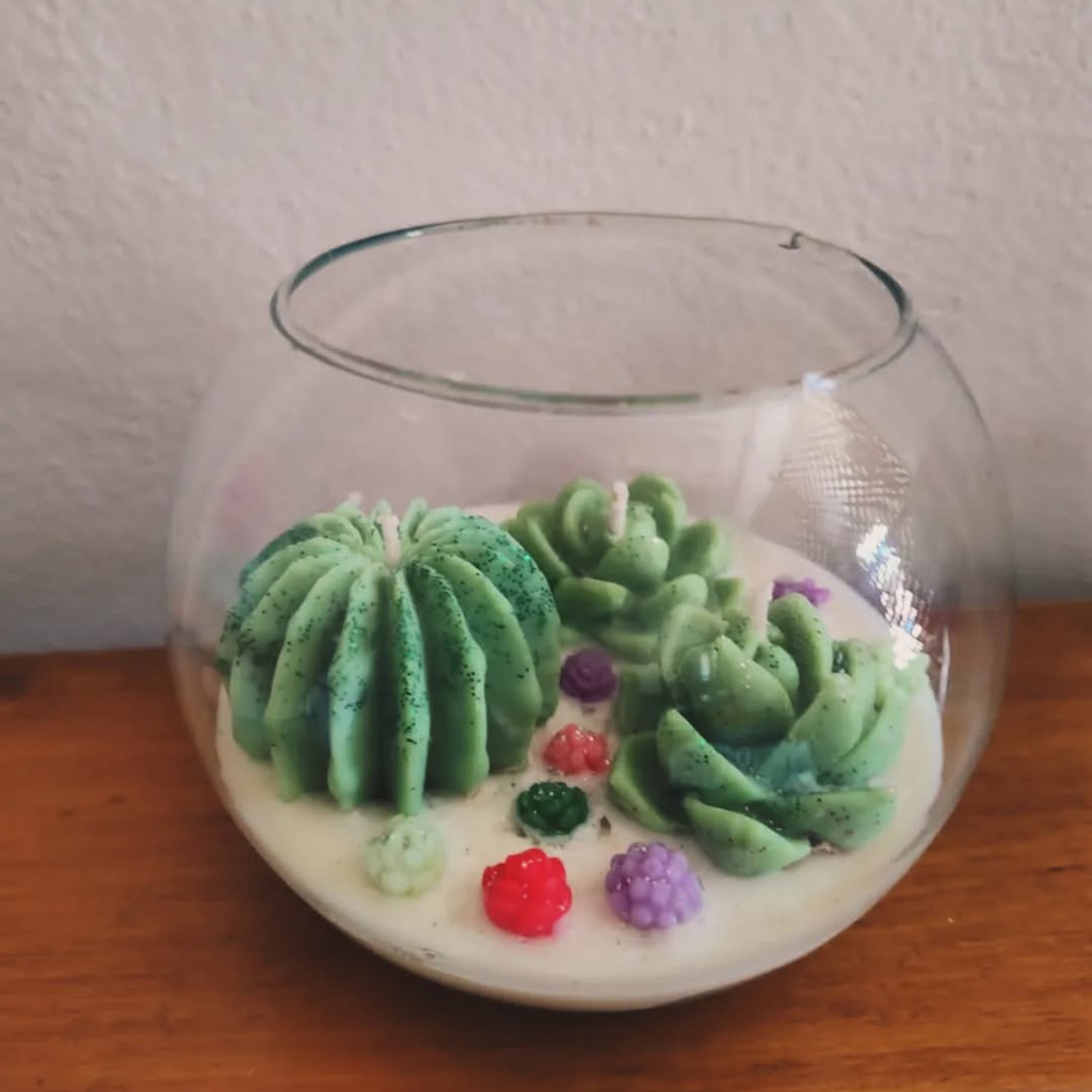 vela aromatica cactus